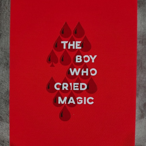 Deluxe Edition: The Boy Who Cried Magic by Andi Gladwin