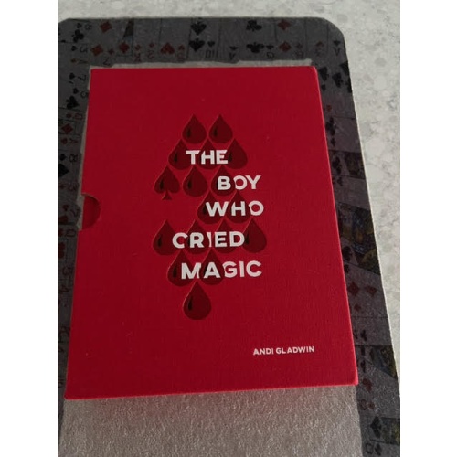 The Boy Who Cried Magic by Andi Gladwin